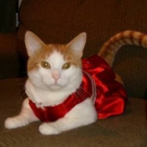 Meet your Posher, Kris